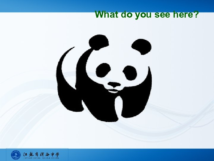 What do you see here? 