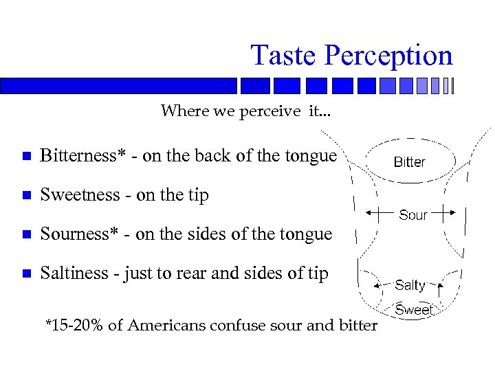Taste Perception Where we perceive it. . . n Bitterness* - on the back
