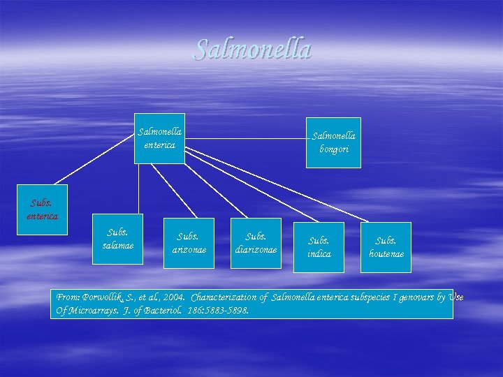 Salmonella enterica Salmonella bongori Subs. enterica Subs. salamae Subs. arizonae Subs. diarizonae Subs. indica