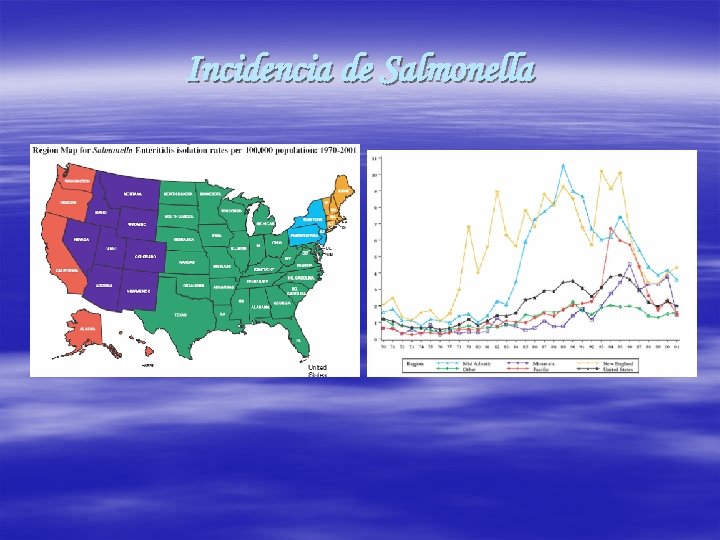 Incidencia de Salmonella 