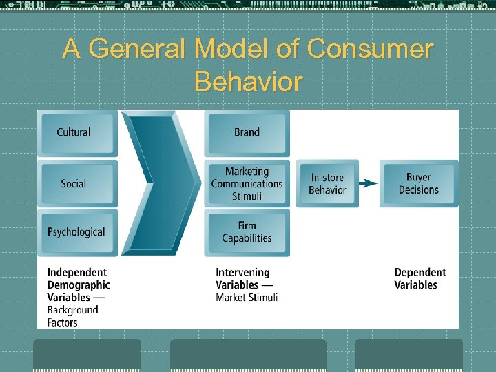 A General Model of Consumer Behavior 