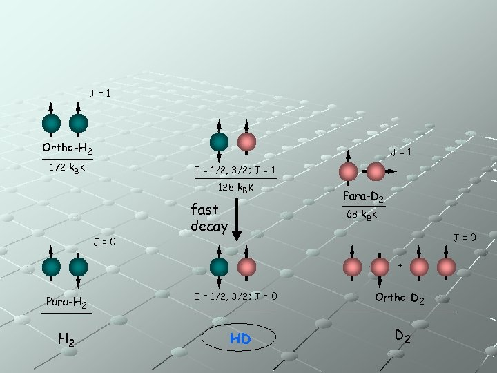 J=1 Ortho-H 2 J=1 172 k. BK I = 1/2, 3/2; J = 1