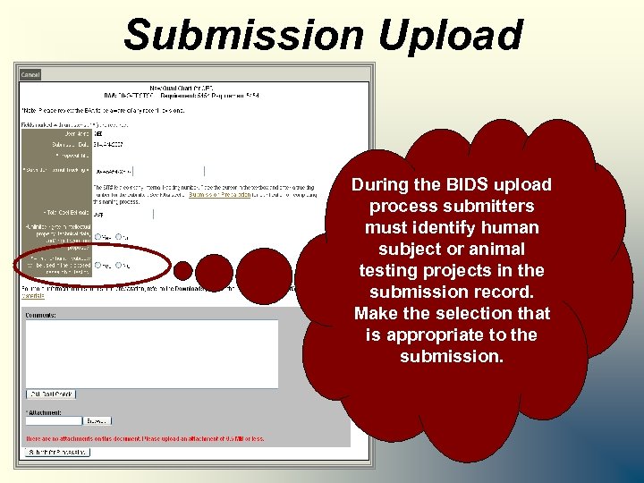 Submission Upload During the BIDS upload process submitters must identify human subject or animal