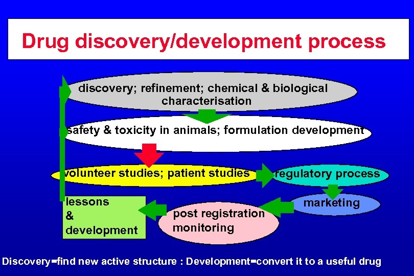 Drug discovery/development process discovery; refinement; chemical & biological characterisation safety & toxicity in animals;