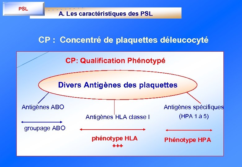 PSL A. Les caractéristiques des PSL CP : Concentré de plaquettes déleucocyté CP: Qualification