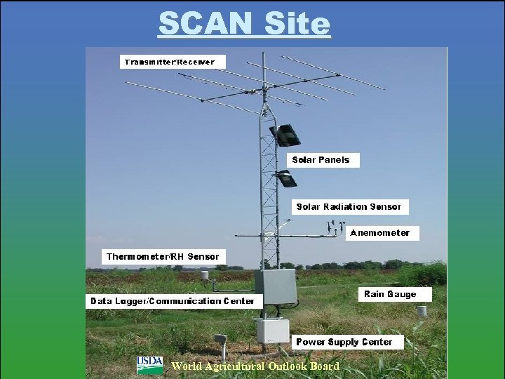 SCAN Site World Agricultural Outlook Board 