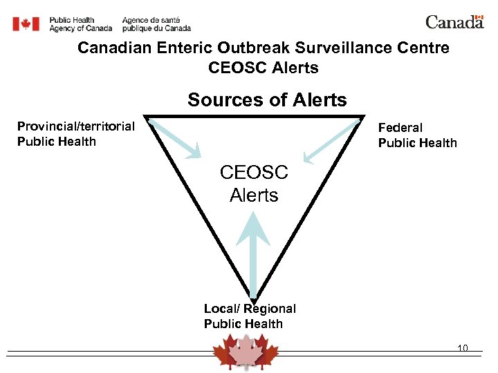 Canadian Enteric Outbreak Surveillance Centre CEOSC Alerts Sources of Alerts Provincial/territorial Public Health Federal
