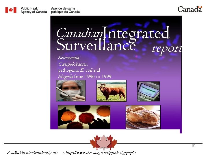 Canadian. Integrated Surveillance report Salmonella, Campylobacter, pathogenic E. coli and Shigella from 1996 to