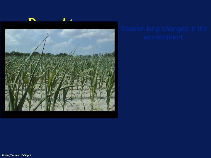 Drought Drilling. Techand 10 Oil. ppt Season long changes in the environment. 