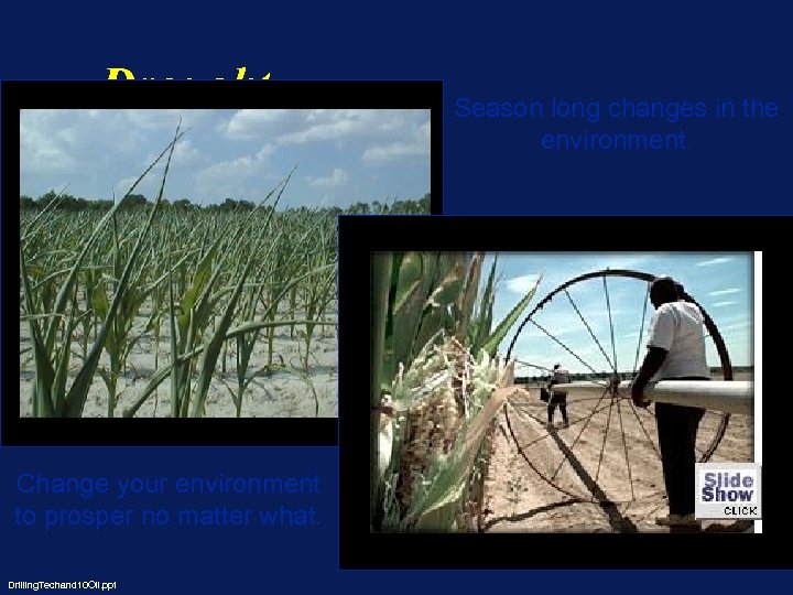 Drought Change your environment to prosper no matter what. Drilling. Techand 10 Oil. ppt