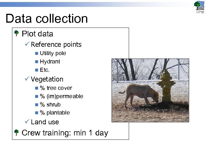 Data collection Plot data ü Reference points n Utility pole n Hydrant n Etc.
