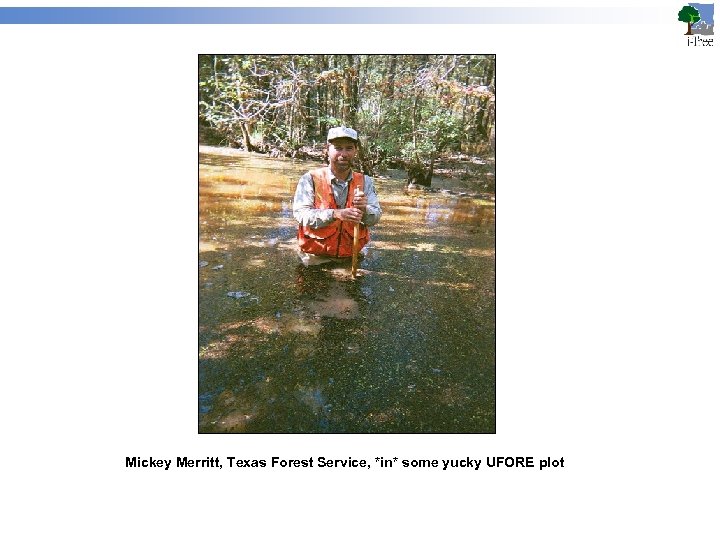Mickey Merritt, Texas Forest Service, *in* some yucky UFORE plot 