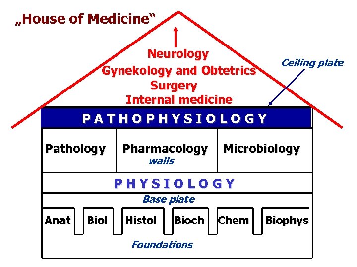 „House of Medicine“ Neurology Gynekology and Obtetrics Surgery Internal medicine Ceiling plate PATHOPHYSIOLOGY Pathology