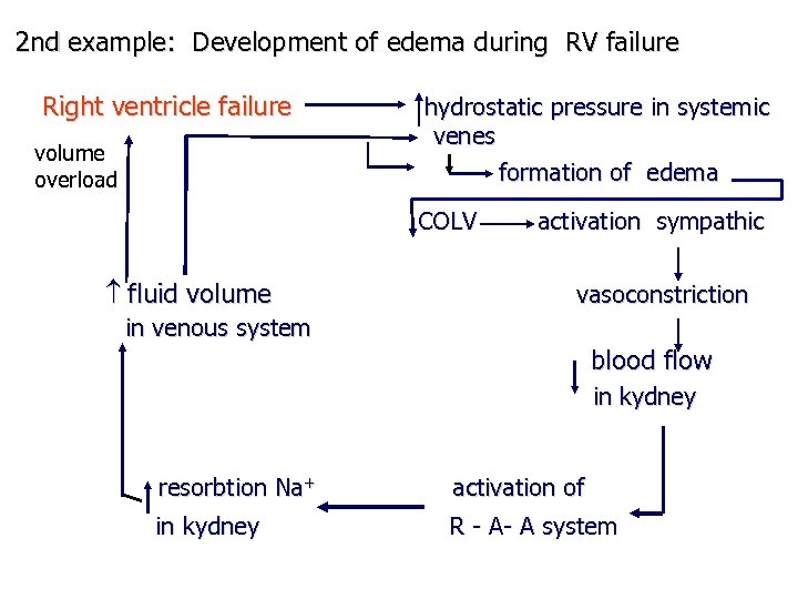 2 nd example: Development of edema during RV failure Right ventricle failure volume overload