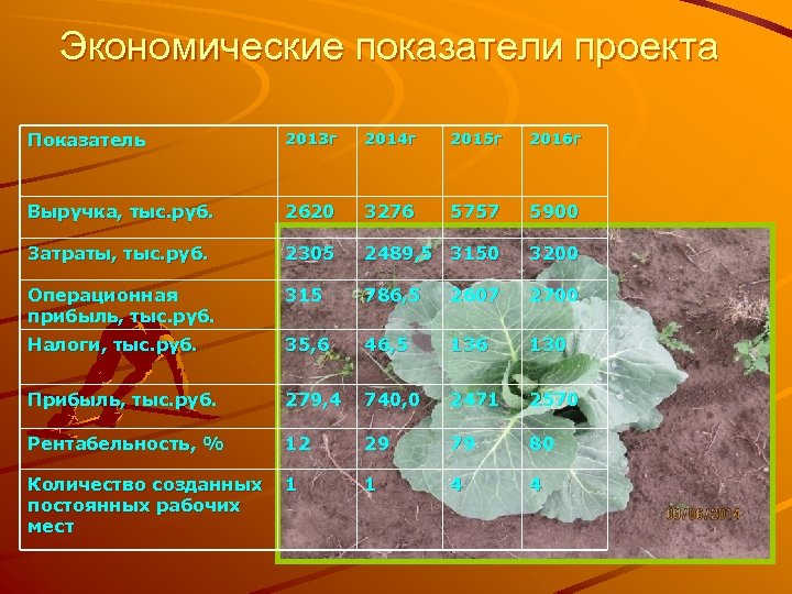 Экономические показатели проекта Показатель 2013 г 2014 г 2015 г 2016 г Выручка, тыс.