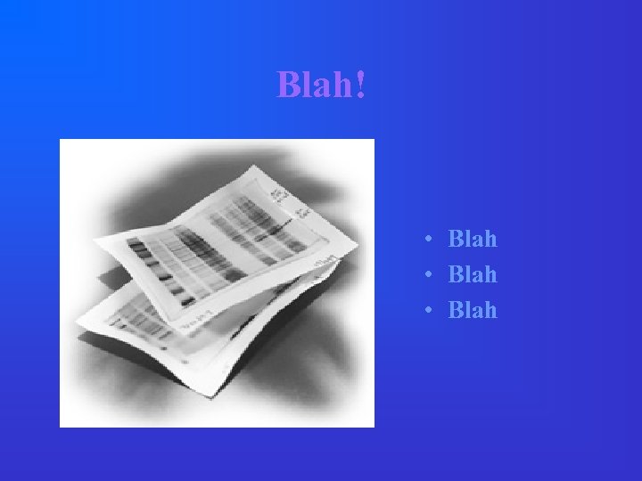 Blah! • Blah 
