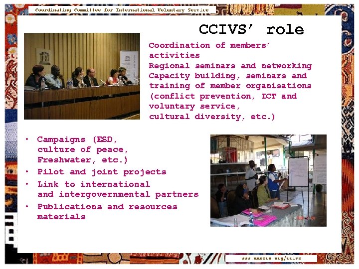 CCIVS’ role Coordination of members’ activities Regional seminars and networking Capacity building, seminars and