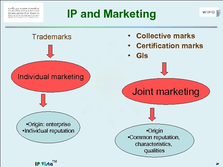 IP and Marketing Trademarks • Collective marks • Certification marks • GIs Individual marketing