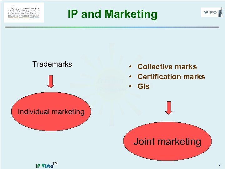 IP and Marketing Trademarks • Collective marks • Certification marks • GIs Individual marketing
