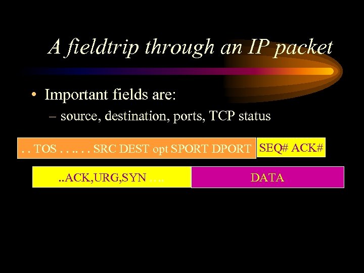 A fieldtrip through an IP packet • Important fields are: – source, destination, ports,