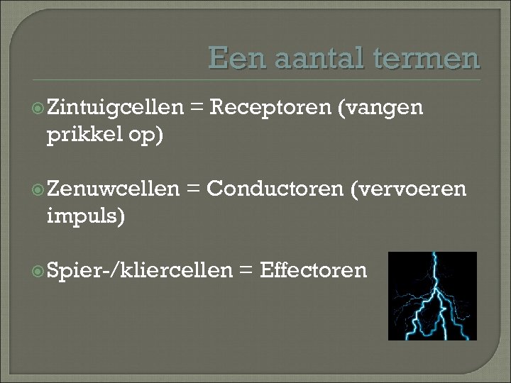 Een aantal termen Zintuigcellen = Receptoren (vangen prikkel op) Zenuwcellen = Conductoren (vervoeren impuls)