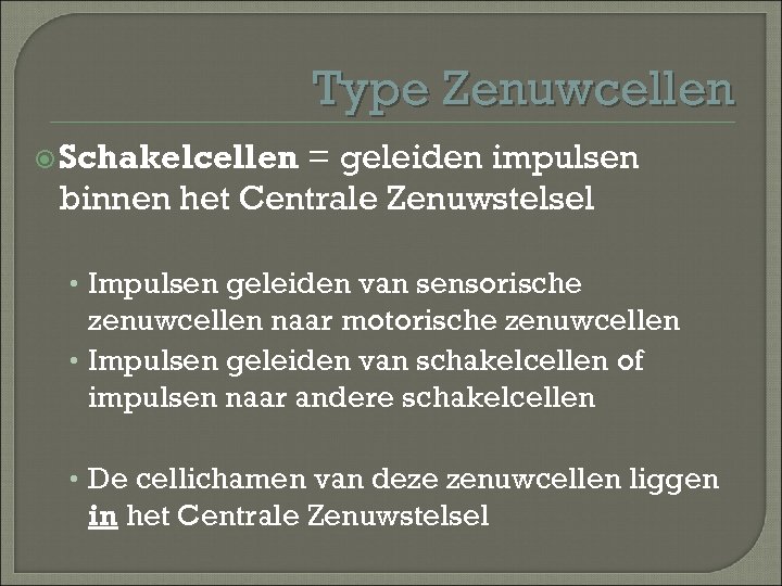 Type Zenuwcellen Schakelcellen = geleiden impulsen binnen het Centrale Zenuwstelsel • Impulsen geleiden van