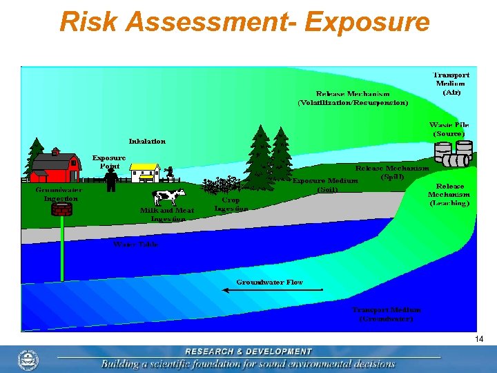 Risk Assessment- Exposure 14 