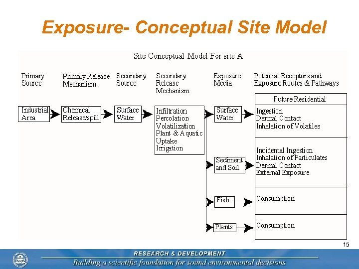 Exposure- Conceptual Site Model 15 