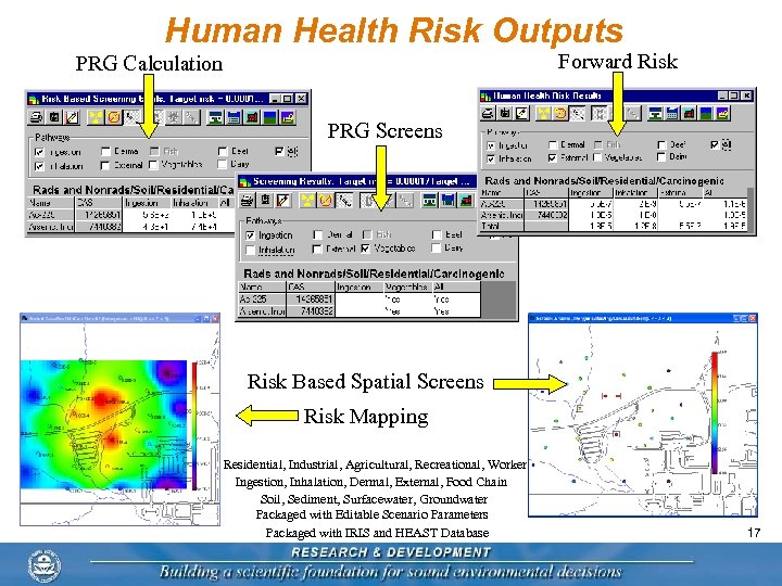 Human Health Risk Outputs Forward Risk PRG Calculation PRG Screens Risk Based Spatial Screens