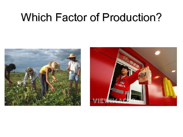 Which Factor of Production? 