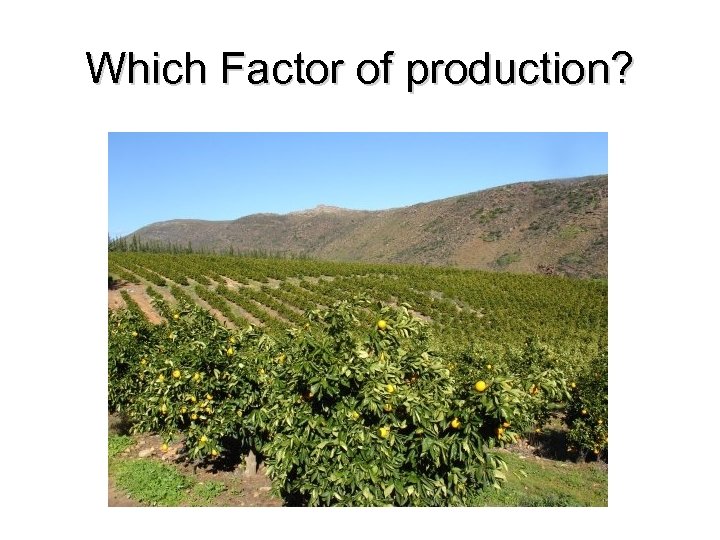 Which Factor of production? 