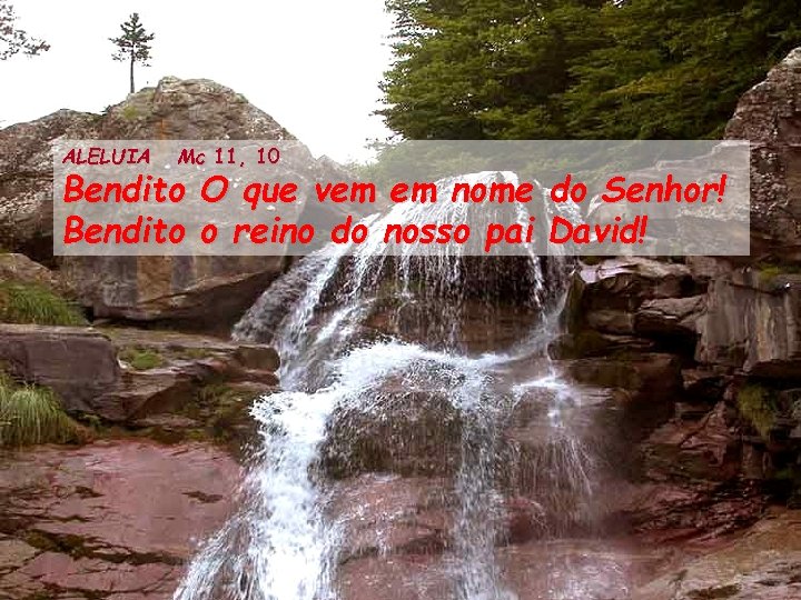 ALELUIA Mc 11, 10 Bendito O que vem em nome do Senhor! Bendito o