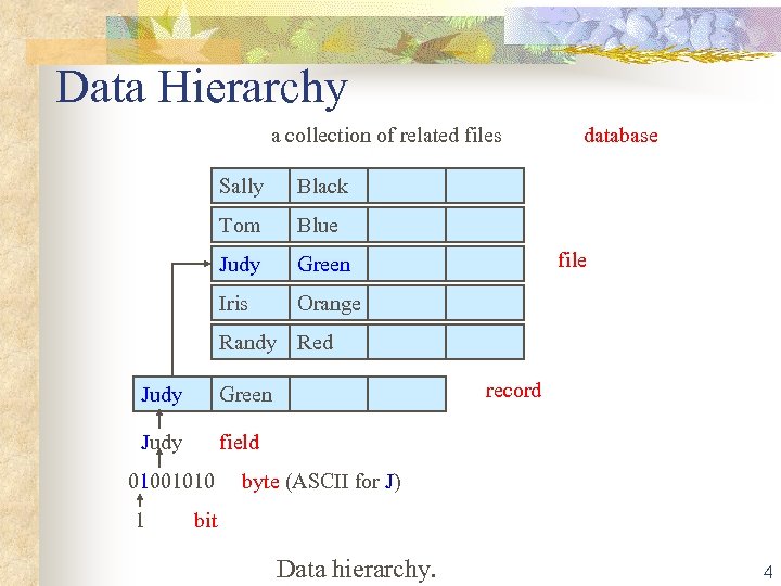  Data Hierarchy a collection of related files database Sally Black Tom Blue Judy