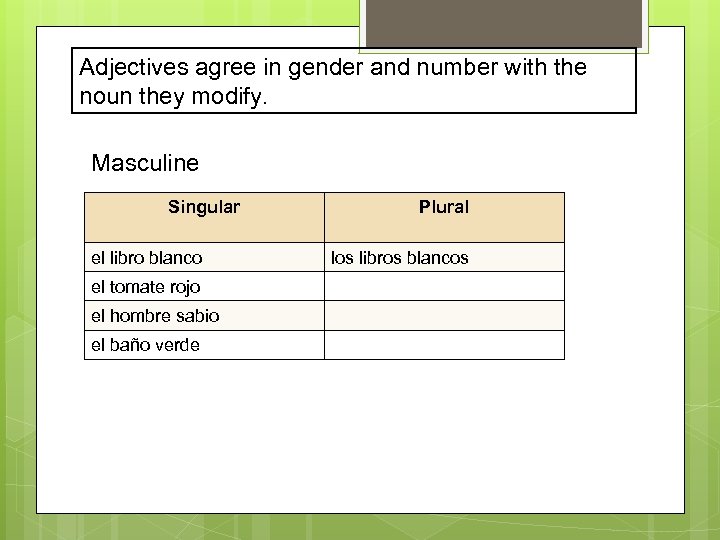 Adjectives agree in gender and number with the noun they modify. Masculine Singular el
