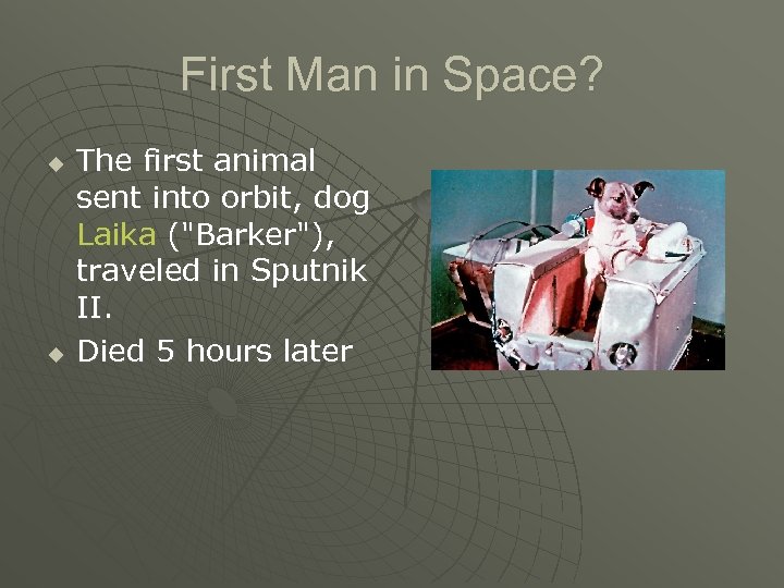 First Man in Space? u u The first animal sent into orbit, dog Laika