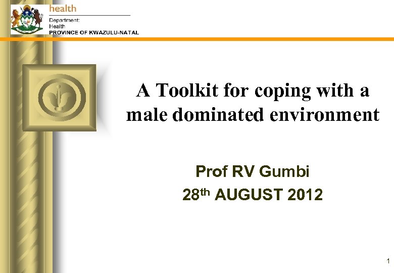 A Toolkit for coping with a male dominated environment Prof RV Gumbi 28 th