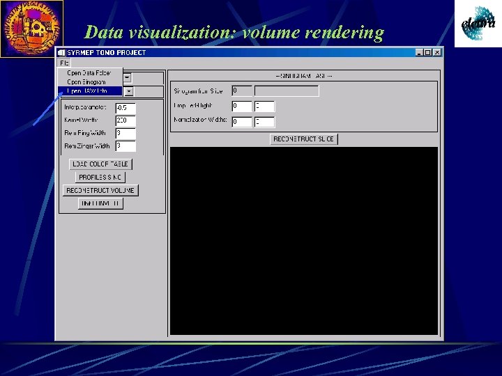 Data visualization: volume rendering 