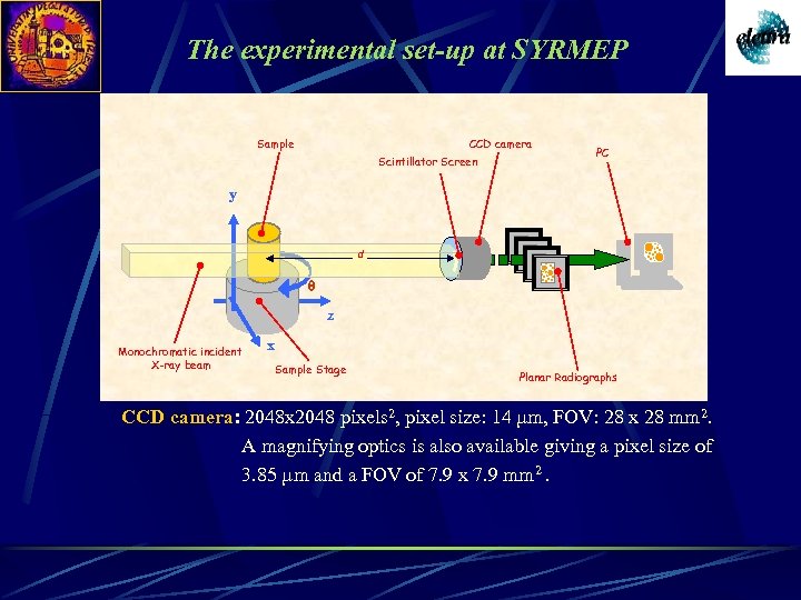 The experimental set-up at SYRMEP CCD camera Sample Scintillator Screen PC y d q