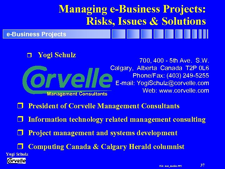 Managing e-Business Projects: Risks, Issues & Solutions e-Business Projects r Yogi Schulz Management Consultants