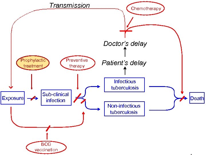 Transmission Chemotherapy Doctor’s delay Prophylactic treatment Preventive therapy Patient’s delay Infectious tuberculosis Exposure Sub-clinical