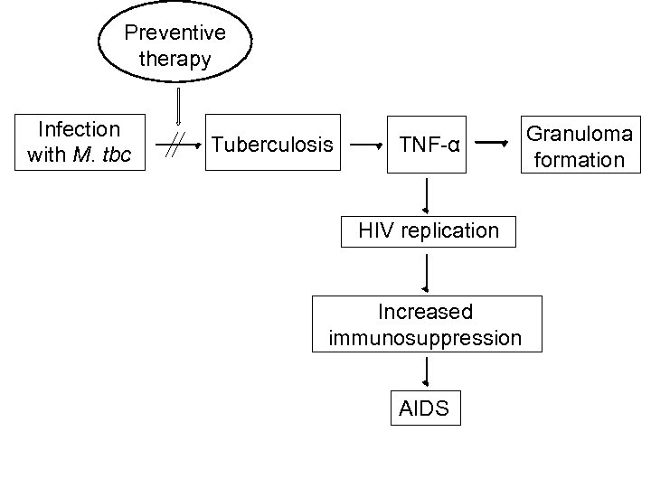 Preventive therapy Infection with M. tbc Tuberculosis TNF-α HIV replication Increased immunosuppression AIDS Granuloma