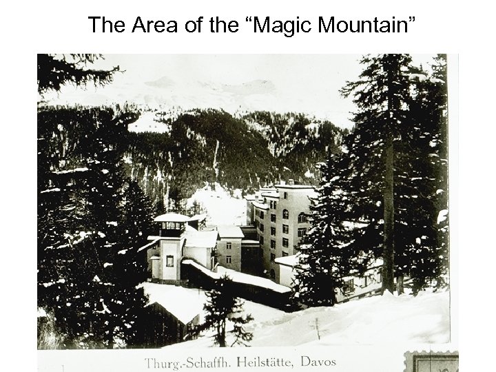 The Area of the “Magic Mountain” 