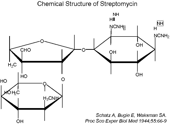 Chemical Structure of Streptomycin NH H NCNH 2 O CHO O NH H NCNH