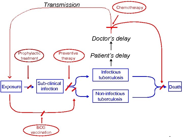 Transmission Chemotherapy Doctor’s delay Prophylactic treatment Preventive therapy Patient’s delay Infectious tuberculosis Exposure Sub-clinical