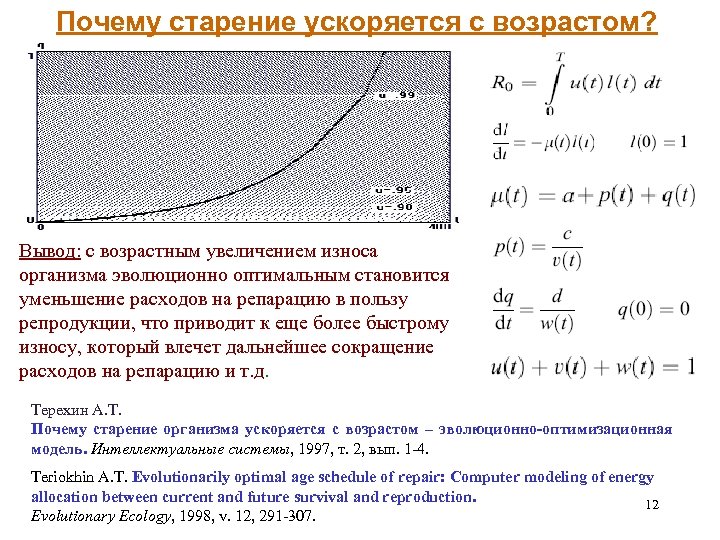 Почему старение ускоряется с возрастом? Вывод: с возрастным увеличением износа организма эволюционно оптимальным становится