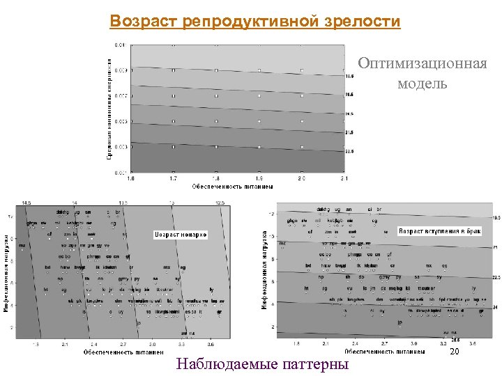 Возраст репродуктивной зрелости Оптимизационная модель Наблюдаемые паттерны 20 
