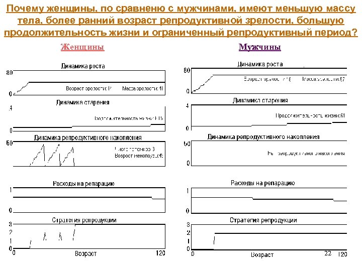 Почему женщины, по сравненю с мужчинами, имеют меньшую массу тела, более ранний возраст репродуктивной