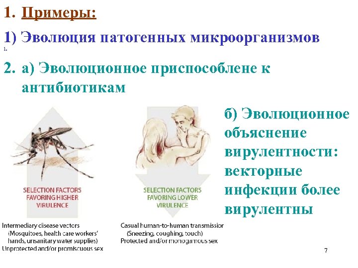 1. Примеры: 1) Эволюция патогенных микроорганизмов 1. 2. а) Эволюционное приспособлене к антибиотикам б)