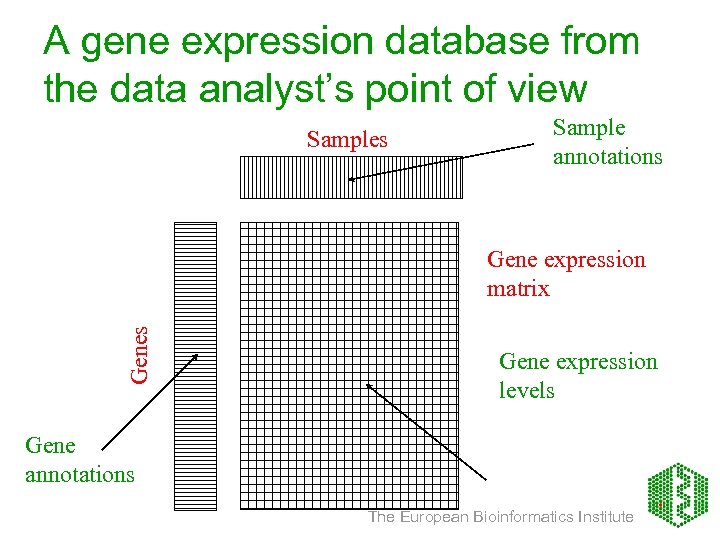 A gene expression database from the data analyst’s point of view Samples Sample annotations