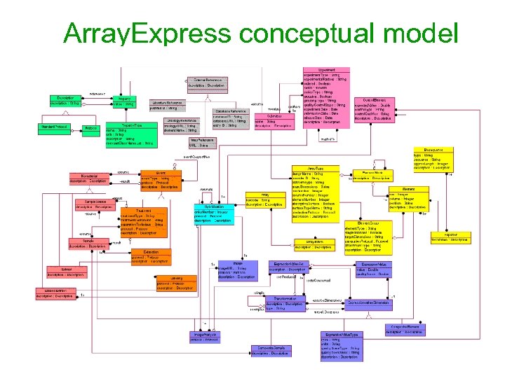 Array. Express conceptual model Publication External links Experiment Source (e. g. , Taxonomy) Sample